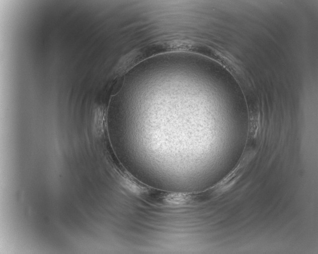 X0000071330142200606301610