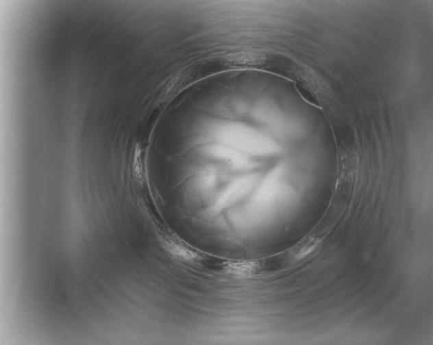 X0000071330143200606301610