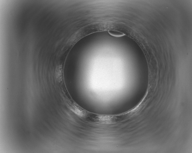 X0000071330144200606301610