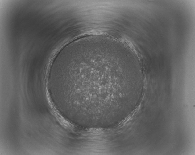 X0000071330145200606301609