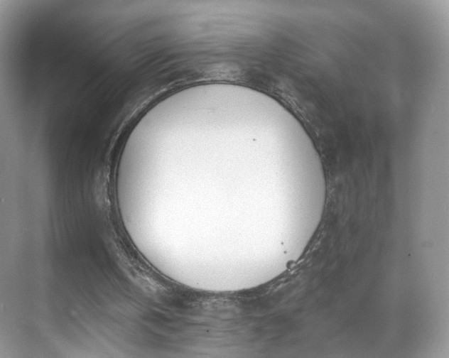 X0000071330146200606301609