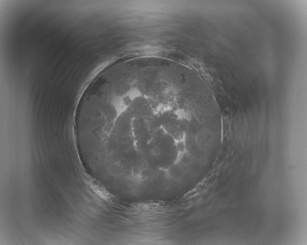 X0000071330147200606301609