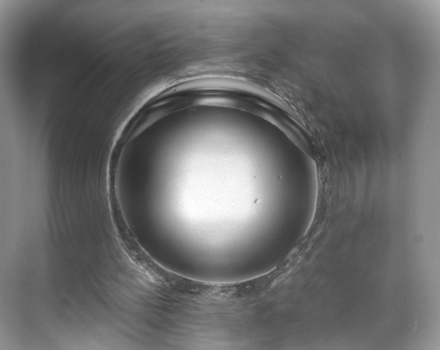 X0000071330148200606301609