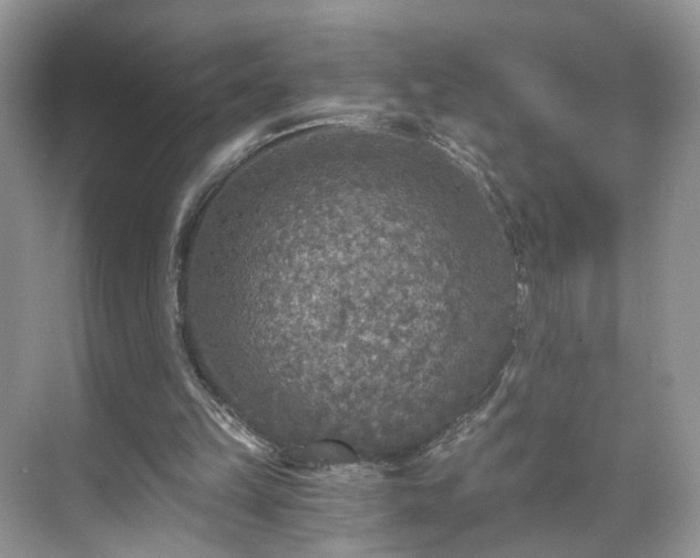 X0000071330149200606301609