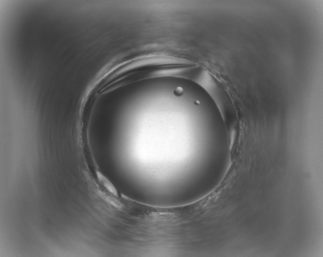 X0000071330150200606301609