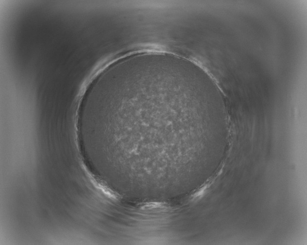 X0000071330151200606301609