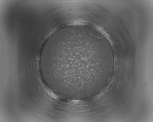 X0000071330153200606301609