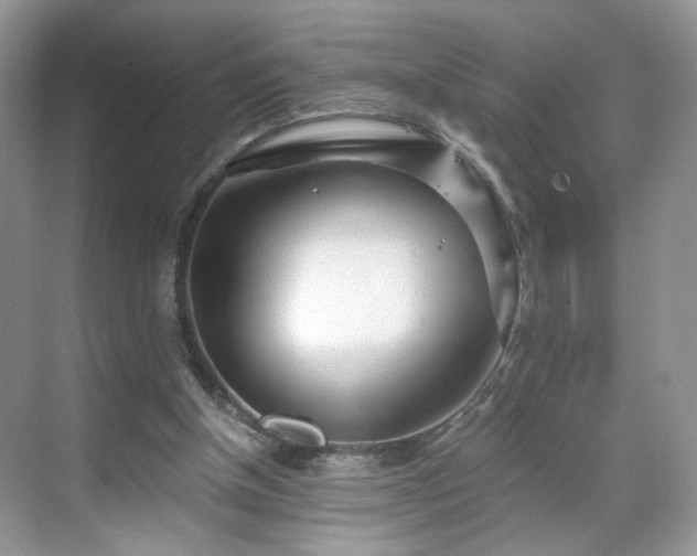 X0000071330154200606301609