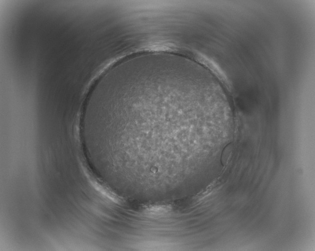 X0000071330155200606301609