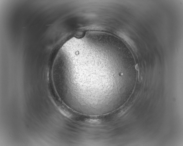 X0000071330157200606301609