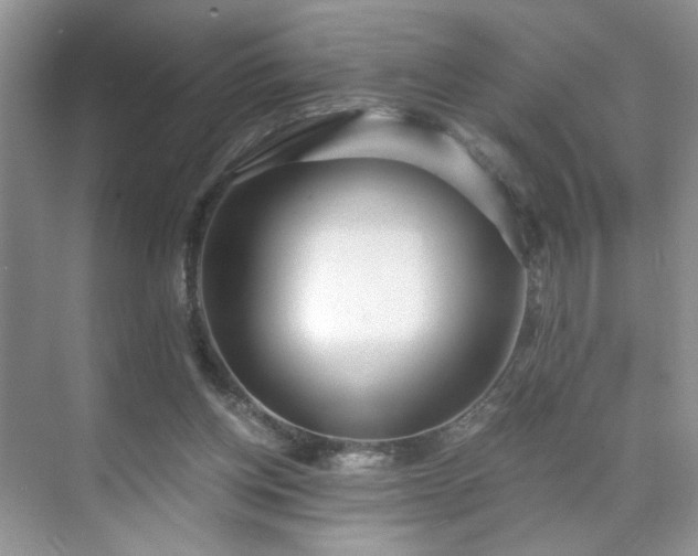 X0000071330158200606301609