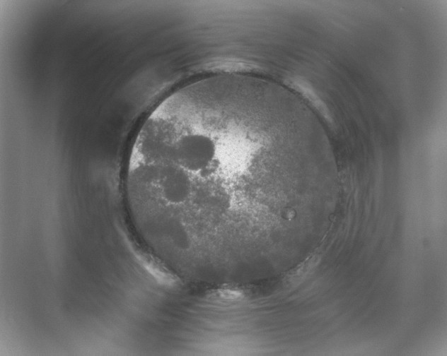 X0000071330159200606301610