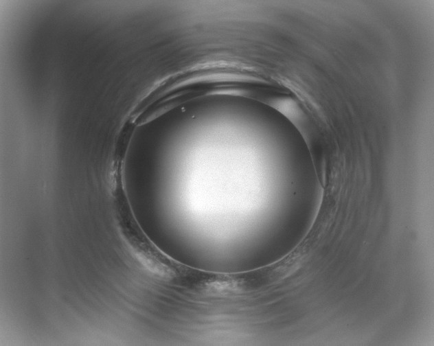 X0000071330160200606301610