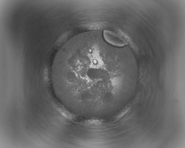 X0000071330161200606301610