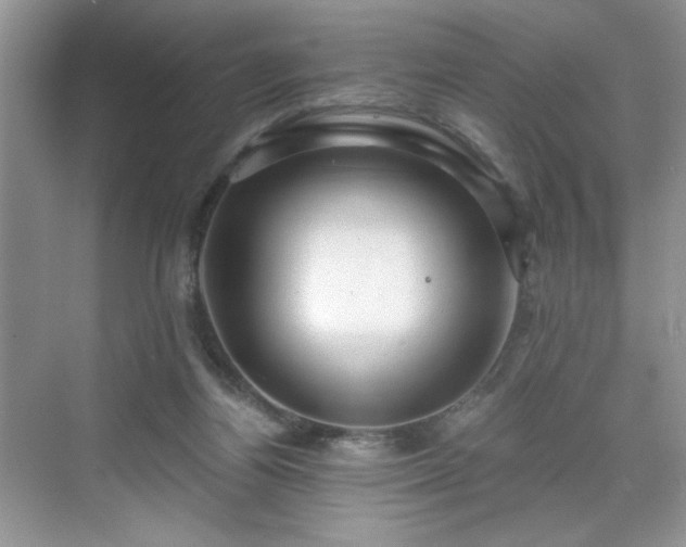 X0000071330164200606301610