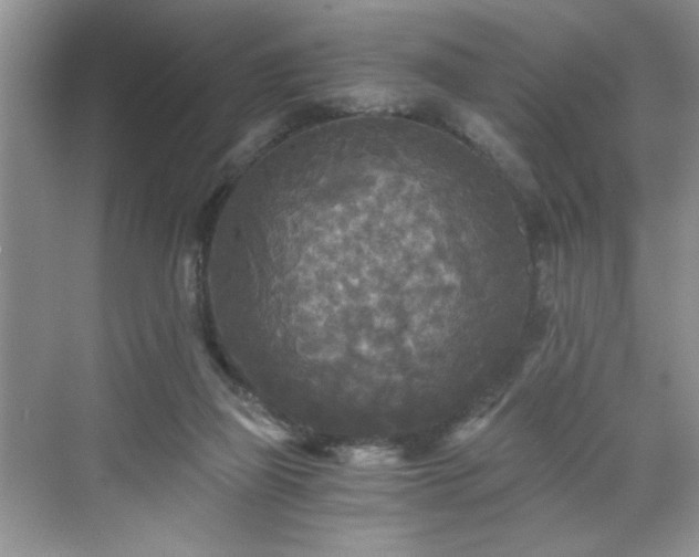 X0000071330165200606301610