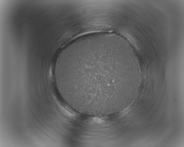 X0000071330166200606301610