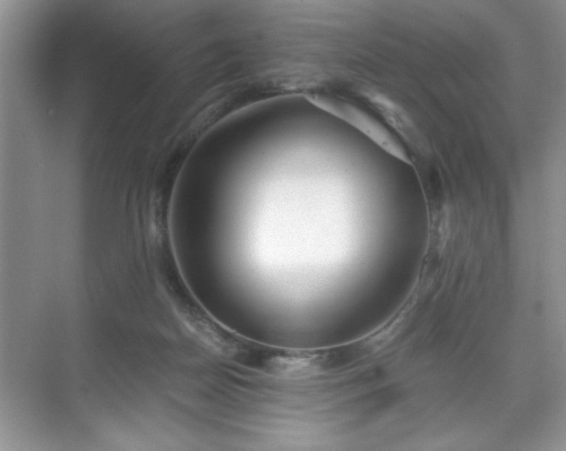 X0000071330170200606301610