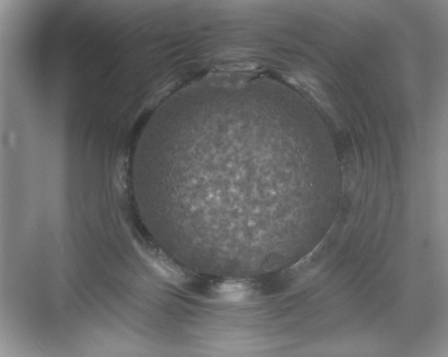 X0000071330171200606301610