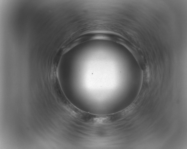 X0000071330172200606301610