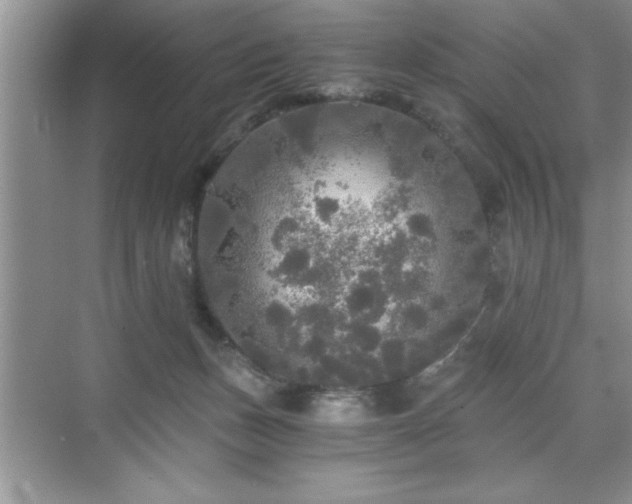 X0000071330175200606301610