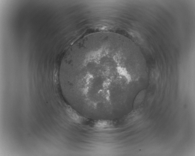 X0000071330177200606301610