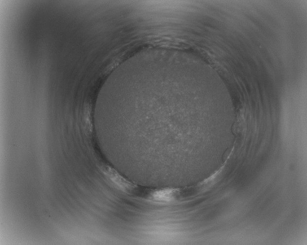 X0000071330178200606301610