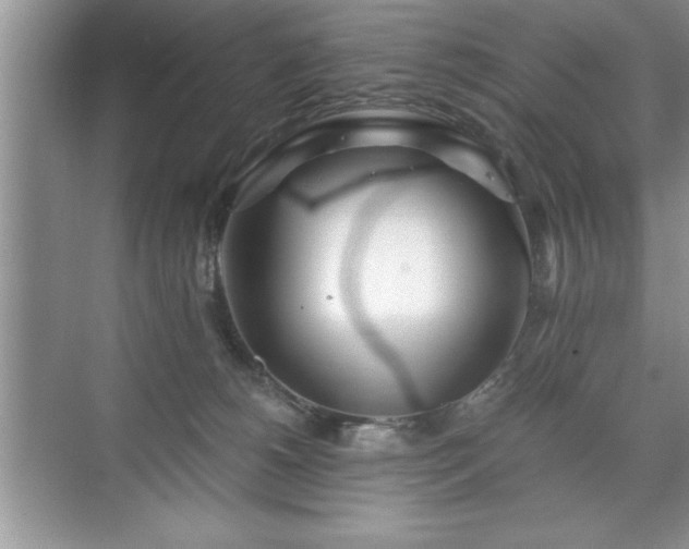 X0000071330180200606301610