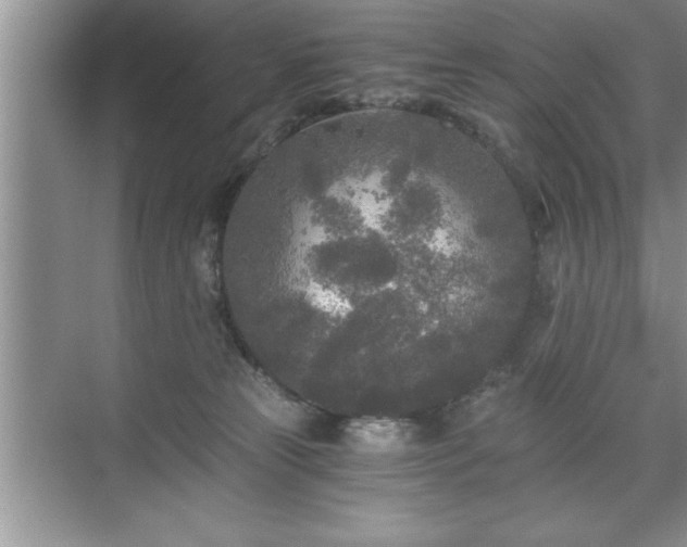 X0000071330181200606301610