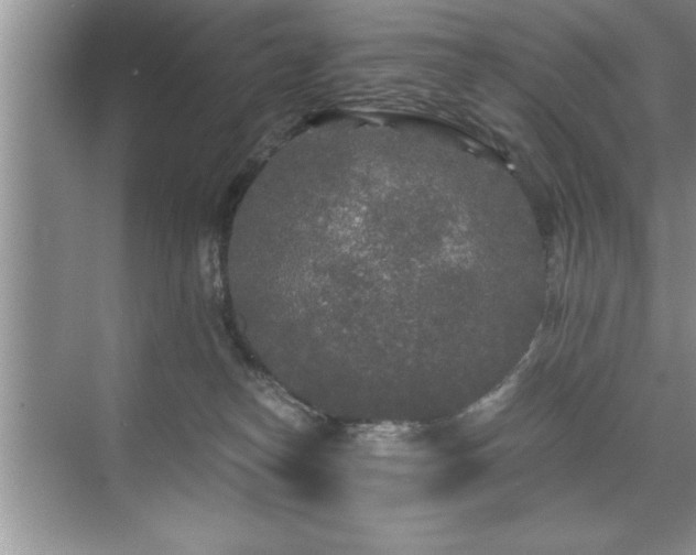 X0000071330182200606301610