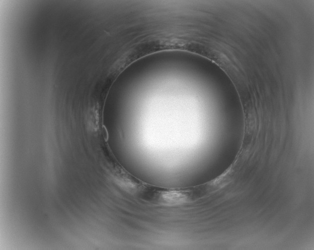 X0000071330183200606301610