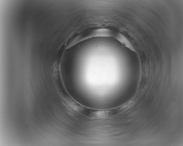 X0000071330184200606301610