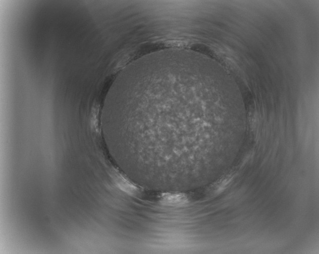 X0000071330185200606301610