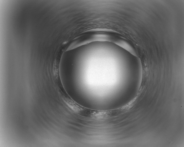 X0000071330186200606301610