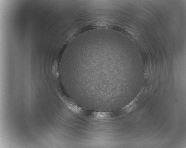 X0000071330187200606301610