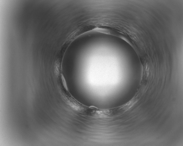 X0000071330188200606301610