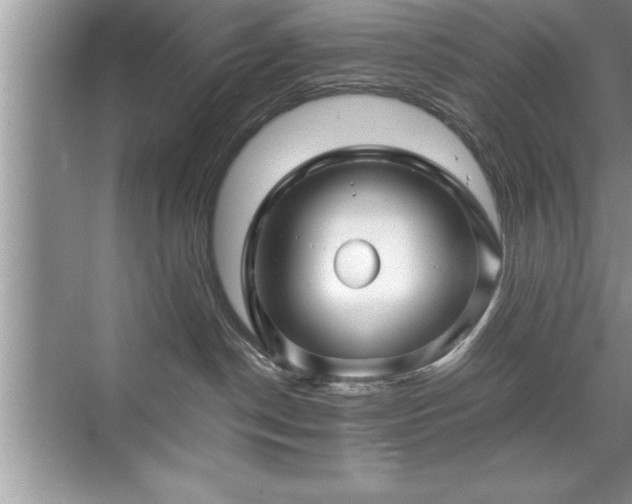 X0000071330190200606301610