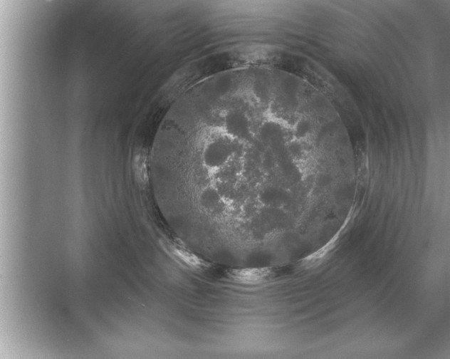 X0000071330191200606301610