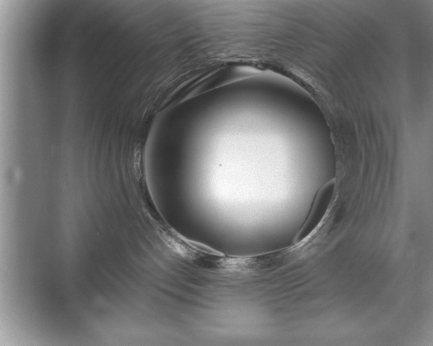 X0000071330192200606301610