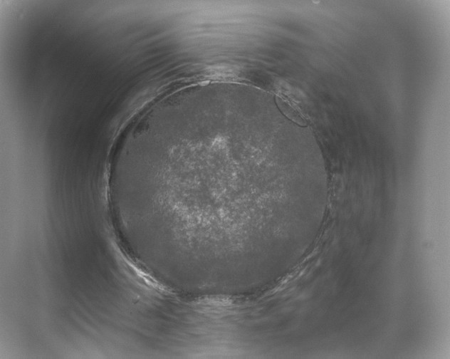 X0000071330194200606301609