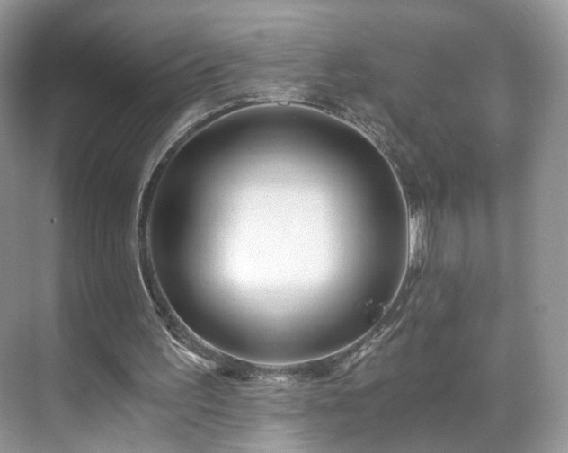 X0000071330195200606301609