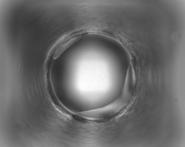 X0000071330197200606301609