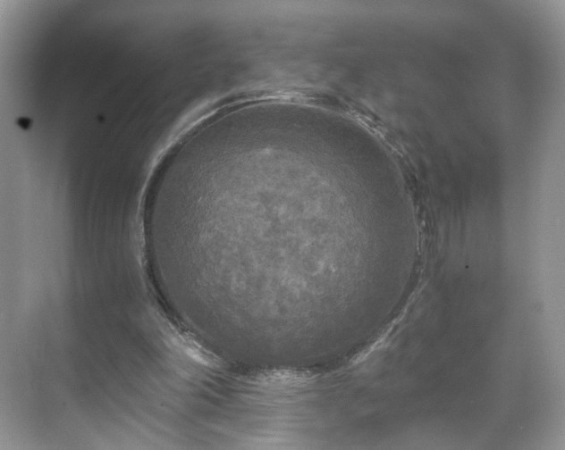 X0000071330198200606301609