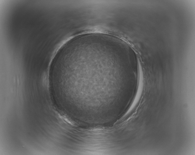 X0000071330200200606301609