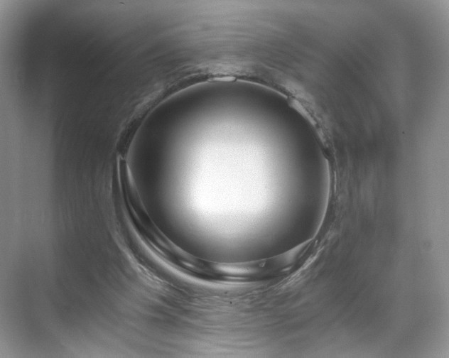 X0000071330201200606301609