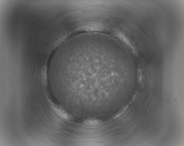 X0000071330202200606301609