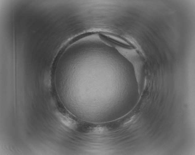 X0000071330204200606301609