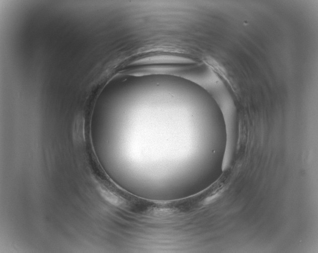 X0000071330205200606301609