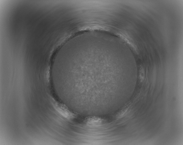 X0000071330206200606301609