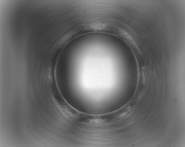 X0000071330212200606301609